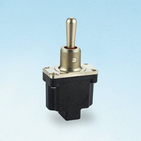 T6013 Toggle Switches